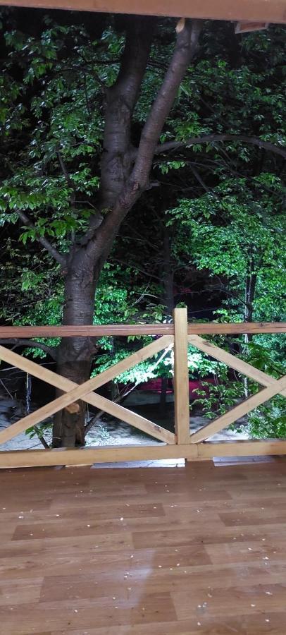 Ribarev San Villa Ovcar Banja Dış mekan fotoğraf
