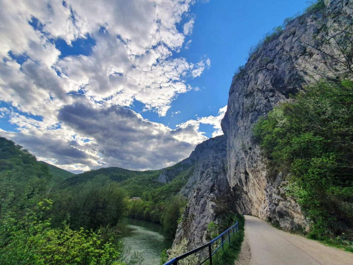 Ribarev San Villa Ovcar Banja Dış mekan fotoğraf