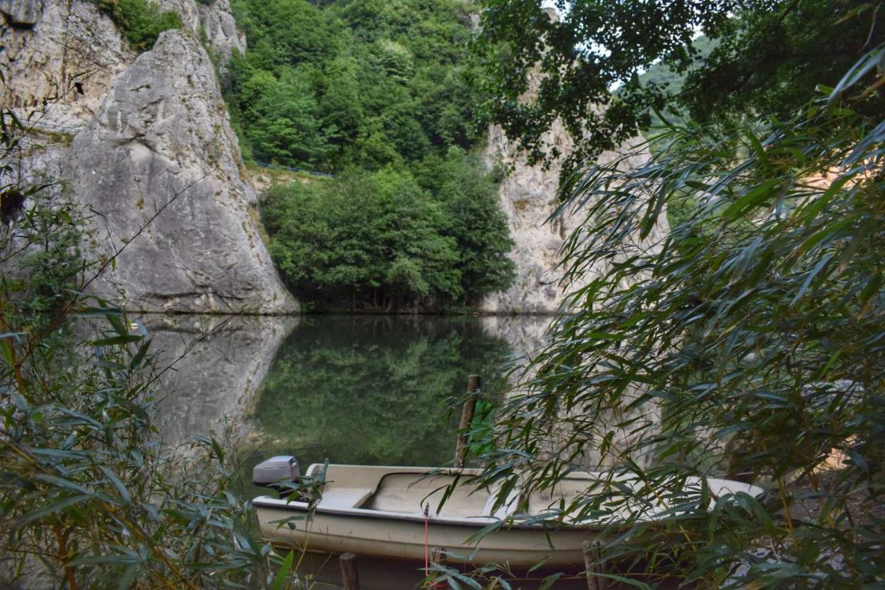 Ribarev San Villa Ovcar Banja Dış mekan fotoğraf